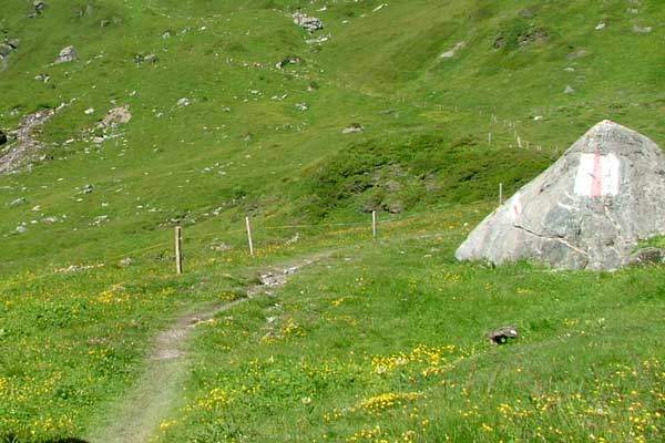 Krista Schultz Reviews Efficient Running Form for Running Up Hills