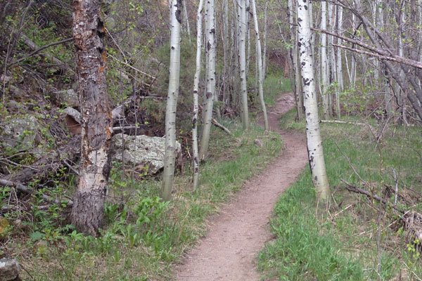Tips for Running Down Hills More Efficiently