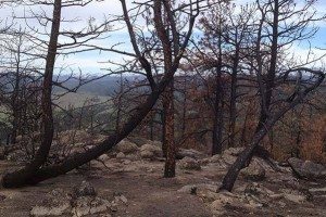 bear peak boulder fire damage