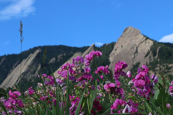 Tips for Racing in the Heat and Elevation at IRONMAN® Boulder