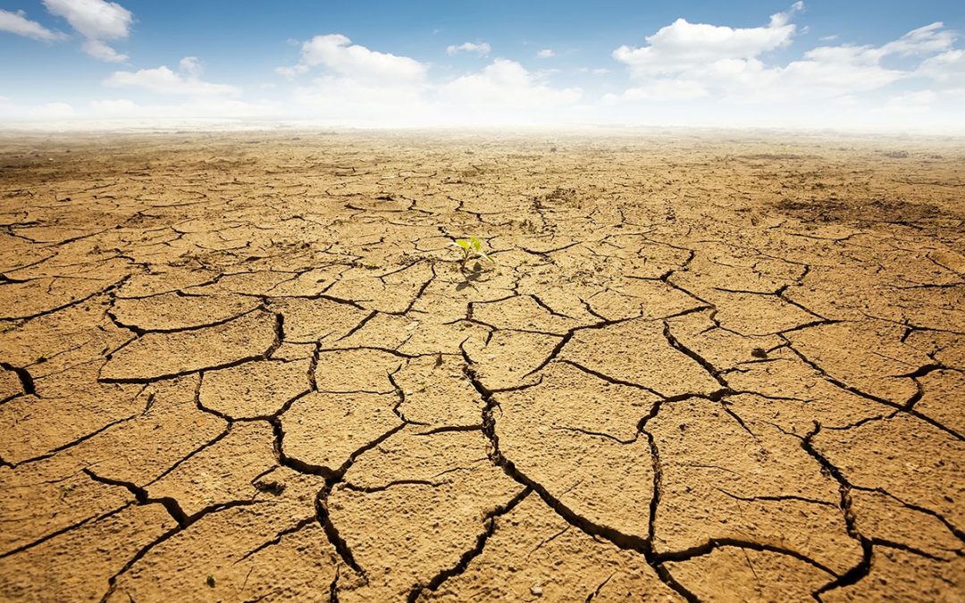 Three Tips for Triathlon and Run Training in the Heat