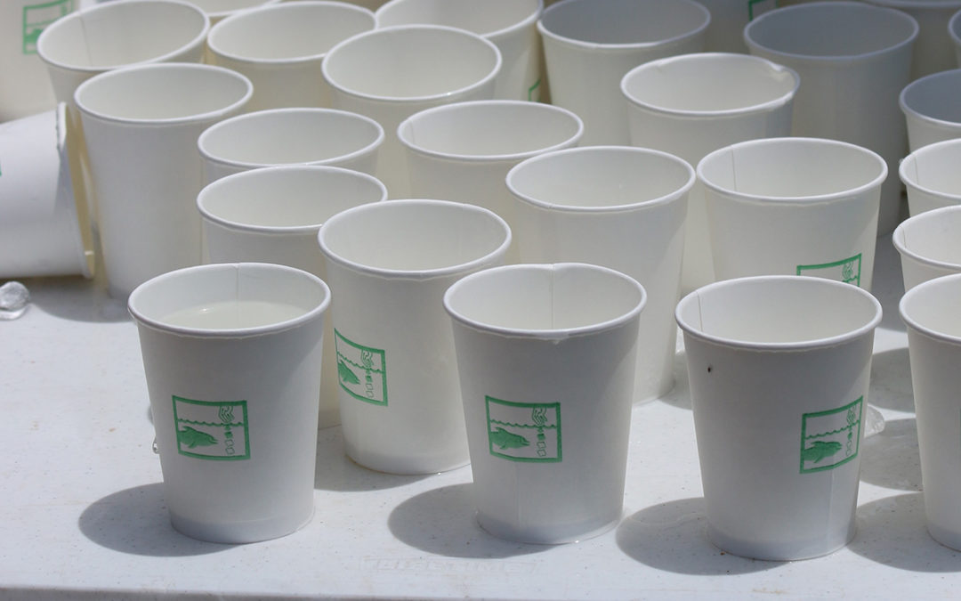 Staying Hydrated During Triathlon Training and Racing