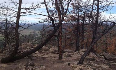 bear peak boulder fire damage
