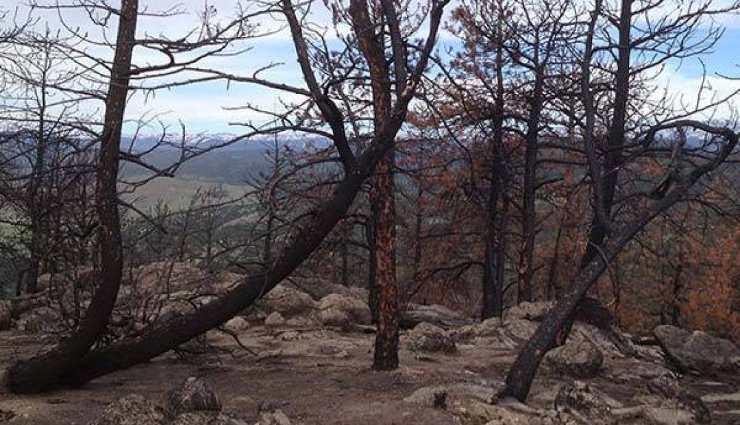 bear peak boulder fire damage