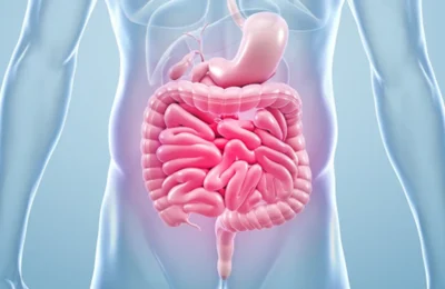 what-is-gut-health-500x300 1