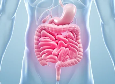 what-is-gut-health-500x300 1