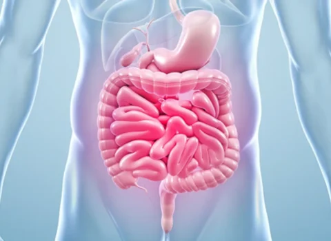 what-is-gut-health-500x300 1